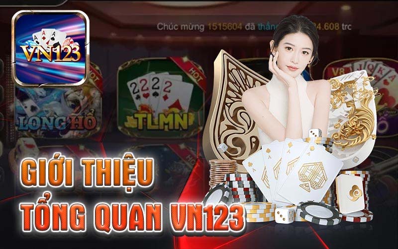 Giới thiệu VN123