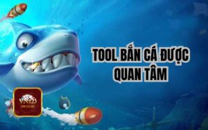 Tool bắn cá được ngư thủ VN123 quan tâm