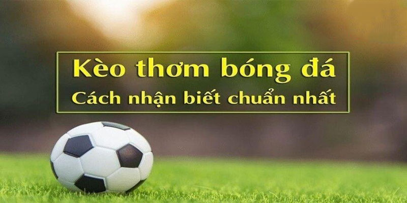 Khám Phá Kèo thơm: Cơ Hội Vàng Để Đặt Cược Tại diễn đàn 90phut